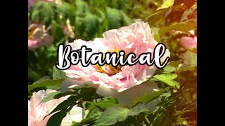 Bloom Skateboards Presents Botanical (2021)