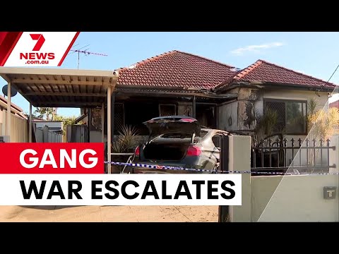 Gang war erupts across western Sydney | 7NEWS