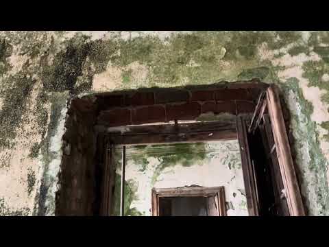 Verfallene Villa am Lago Maggiore: Algen, Moos und zerstörte Wandmalereien