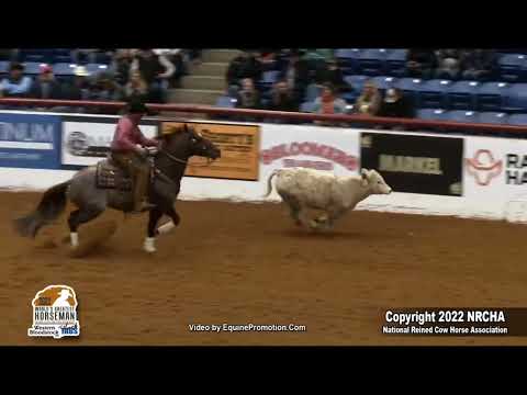 Senor Shiney Cat, 2022 Worlds Greatest Horseman Prelims Fence Run