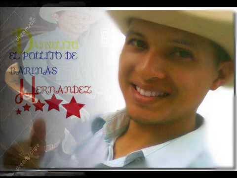 el pollito de barinas ni para echa una huelia