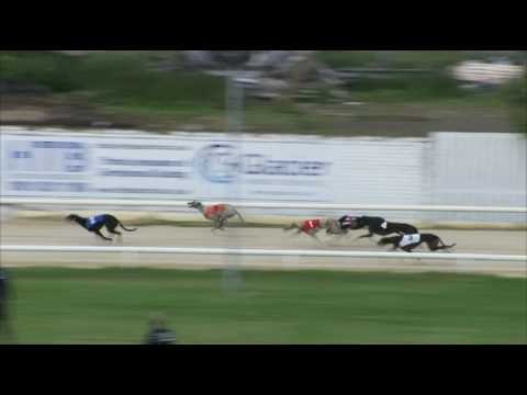 2017 WILLIAM HILL GRAND PRIX - 1ST SEMI - T1 GEELO JENGA