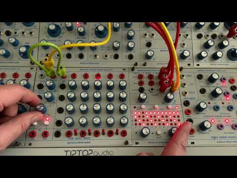 Buchla & Tiptop Audio 242t Programmable Pulser (BPNYC) image 11