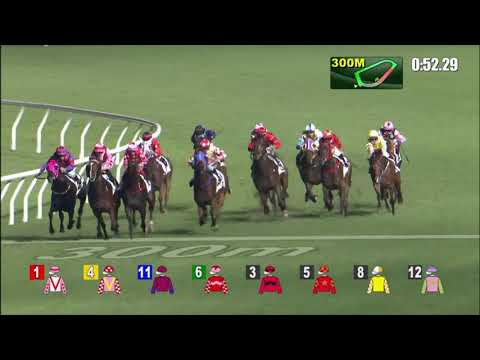 17/11/2021 (179) Regency Star - A Badel