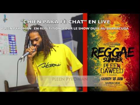 REGGAE SUMMER AVEC PLEEN PYROMAN ET DAWEED  AU BARRACUDA  LE 18 JUIN 2K16  A PARTIR DE 20H -