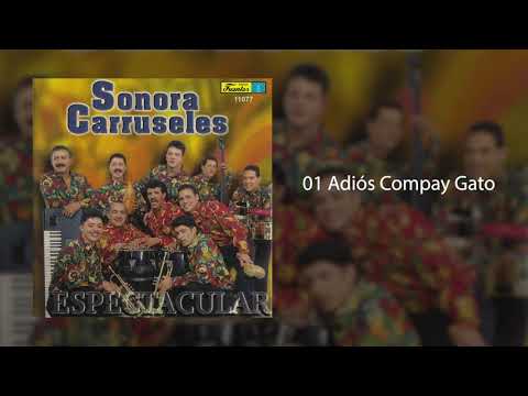 Adiós Compay Gato - Sonora Carruseles®