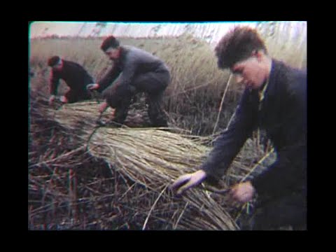 The Netherlands: Struggle for Land