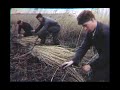 The Netherlands Struggle For Land