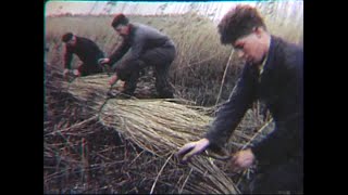 The Films of Ernest Kleinberg:  The Netherlands: Struggle for Land