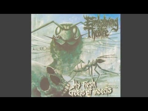 BIRDFLESH/EMBALMING THEATRE - Death Metal Karaoke/My Flesh Creeps at Insects Split EP (2004)