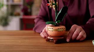 LEGO® Botanicals 10343 Miniaturní orchidej