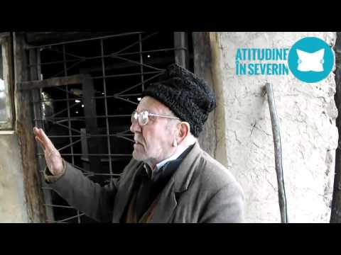 Dârvari, raiul hoţilor din România