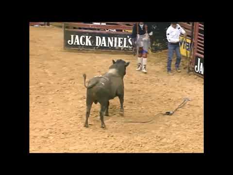 Locomotive Breath bucks Justin McBride - 99 PBR Richmond
