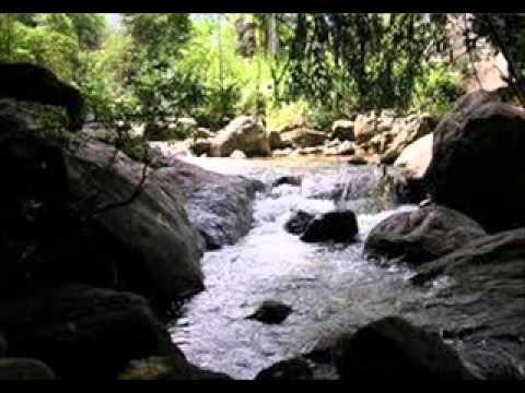 Madhu Saada sina..(මධු සාද සිනා ගලනා අනුරාගි සුසුම් බිඳෙනා)Deepika Priyadarshani