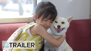 역으로 가는 길을 알려줘(Show Me the Way to the Station) 메인예고편