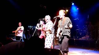 The Dickies- Got It At The Store