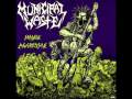 Municipal Waste - Acid Sentence