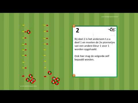 Zuidvogels video training   conditie 2