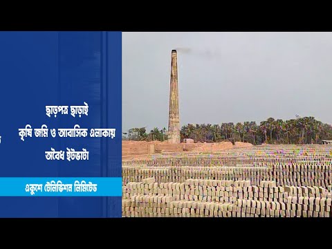 ইটভাটায় কমছে কৃষি জমির উৎপাদন ক্ষমতা