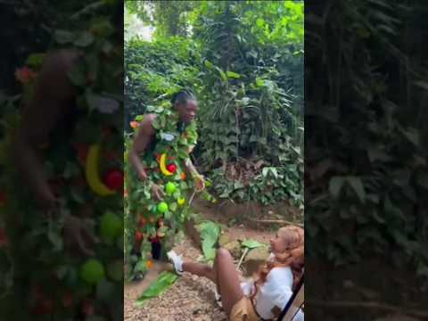 Oops! Pallaso tries to help 