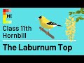 The Laburnum Top Class 11 English Hornbill Poem 2 Explanation with literary devices | IN ENGLISH