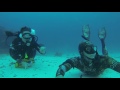 Lady Elliot Island Dreams