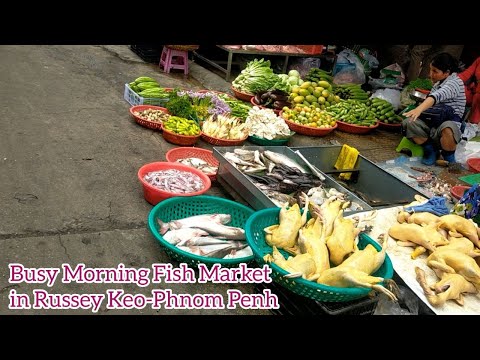 Busy Morning Fish Market Tour in Russey Keo-Phnom Penh [Cambodian Fish Markets]