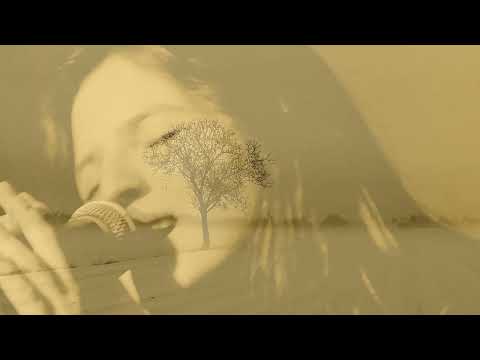 Alireza Mortazavi with Annie Barbazza   --  Chasing The Wind (official)