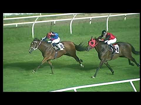 Napoli Galoppo 25/08/2021 - 4ª corsa