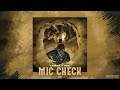 LFERDA Mic Check Ft Diib Official Audio