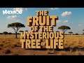Macka B S Wha Me Eat Wednesday The Fruit Of The Mysterious Tree Of Life