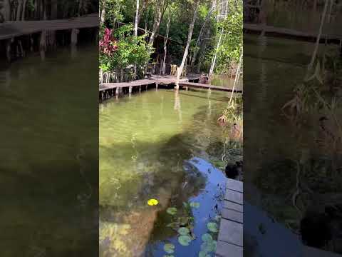 Bom gosto - Morros Maranhão #viral #morros #maranhão #nordeste #vacation #viagem