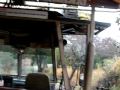 Disney World Safari Part 2