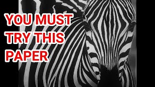 How To Draw A Zebra Using Ink & Graphite, Testing New Canson Drawing Paper