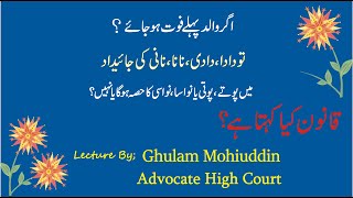 Inheritance Right of Grand Son