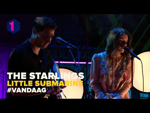 The Starlings: Little Submarine
