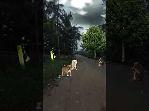 Beautiful azan by qari obaidullah #short #shorts #trending