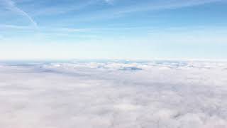 william crooks - knowiknowiknowiknowiknow