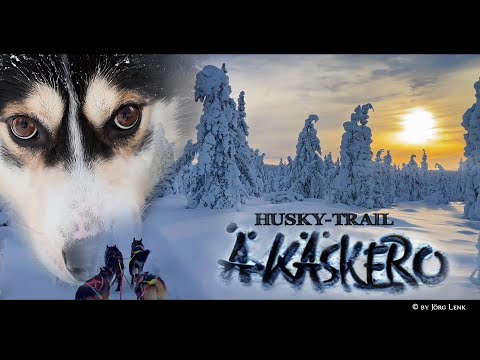 ÄKÄSKERO - "Hundeschlittentrekking in finnisch Lappland" [4K] (Reisedoku)