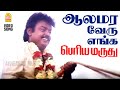 Aalamara Vehru HD Video Song ஆலமர வேரு Periya Marudhu Vijayakanth Ranjitha Ilaiyaraa