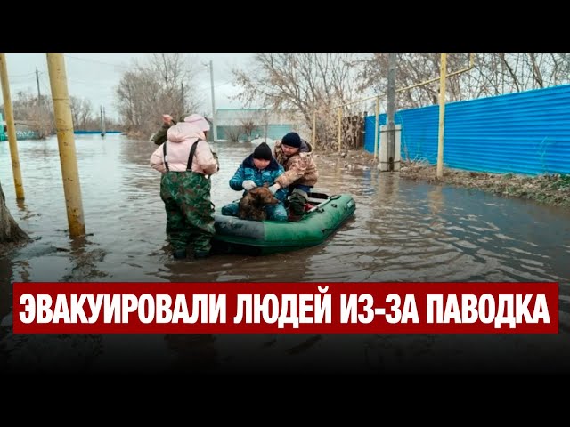 Под Петропавловском вода пребывает в реке Есиль