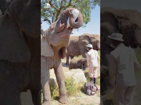 Khanyisa Drinks Her Milk Bottles with Baby Elephant Phabeni!