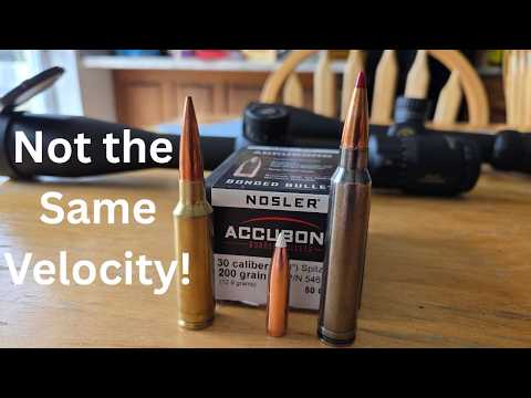 The Truth about 300 WSM vs 300 Win Mag