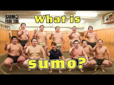 Let’s learn the basics of sumo!!