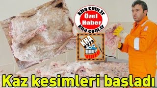 kaz kesimleri başladı haber ajansı www kha com tr kha