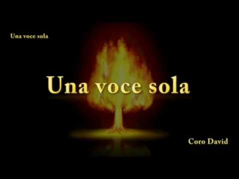 Coro David - Una voce sola