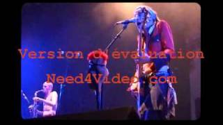 Bérurier Noir - Le chat