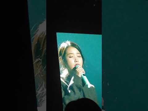 181117 아이유(IU) 콘서트 서울 앵앵콜 - 무릎