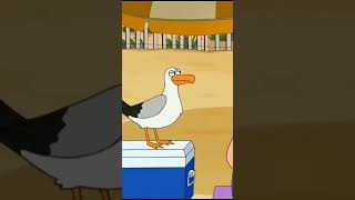 Peter's Hilarious Encounter with a Seagull | Family Guy | #shorts #familyguy