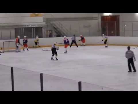 Tappara Forum -Pirkkalan Pingviinit C1 2.2.2014 1-5